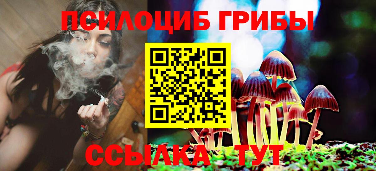 Новокубанск  Галлюциногенные грибы ЛСД  Вход с VPN 